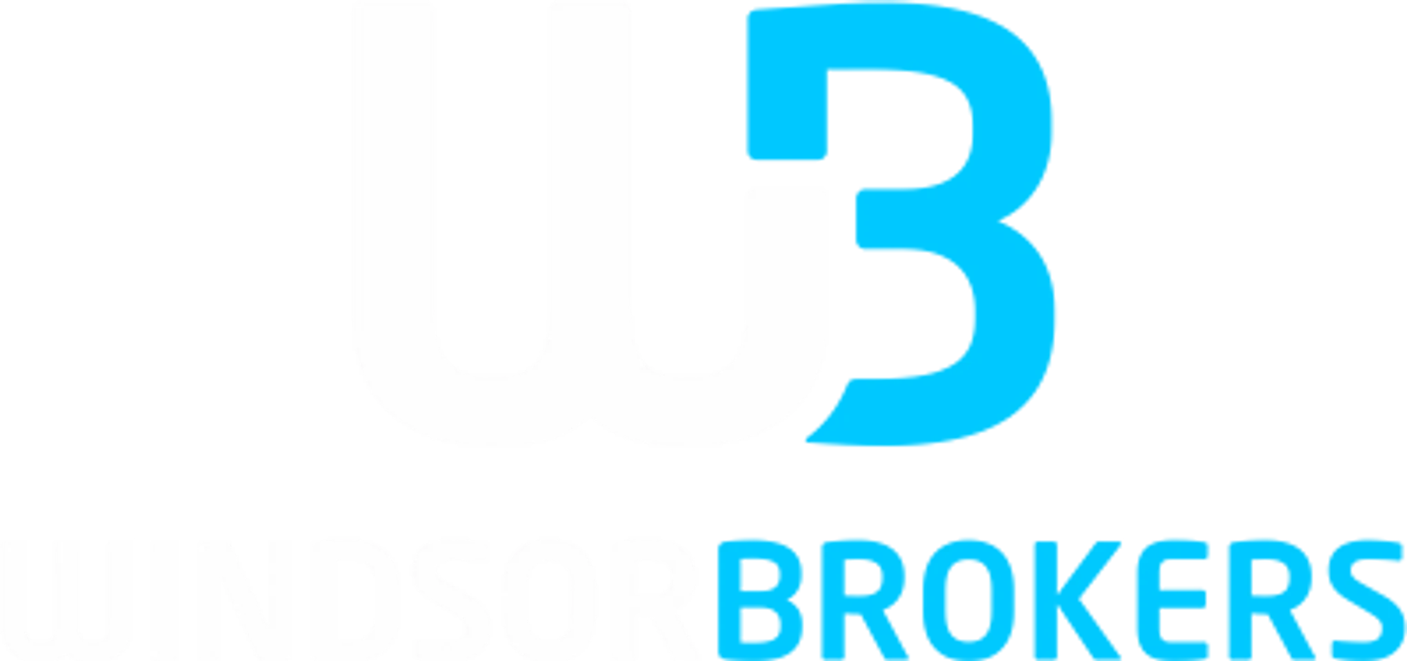 Windsor Broker logo