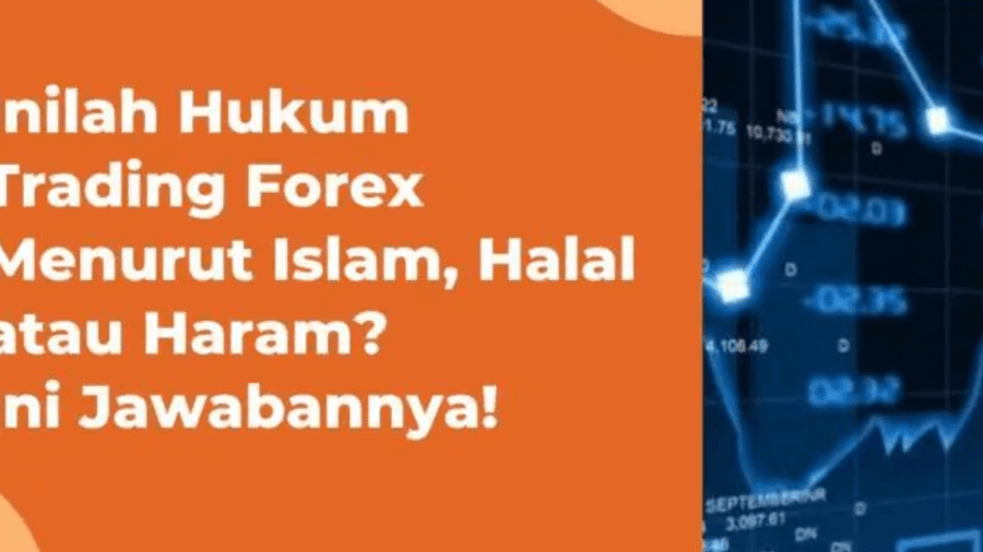 Hukum Trading Forex Menurut Islam, Apakah Halal atau Haram?